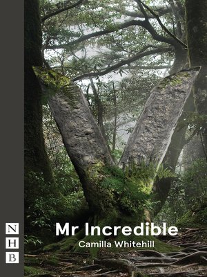 cover image of Mr Incredible (NHB Modern Plays)